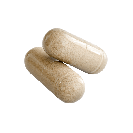NightVital Sleep Support